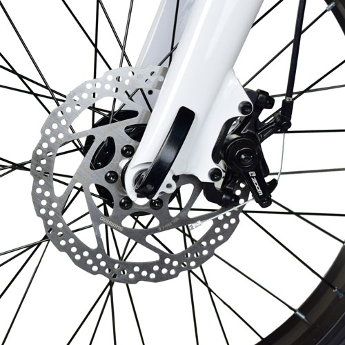 Front and Rear Disc Brakes