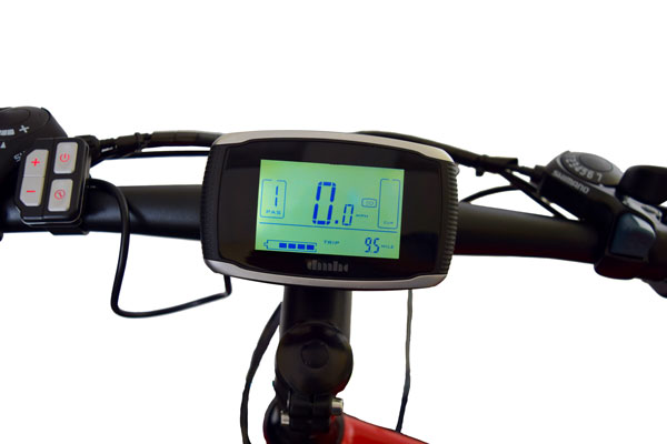 Large LCD Display