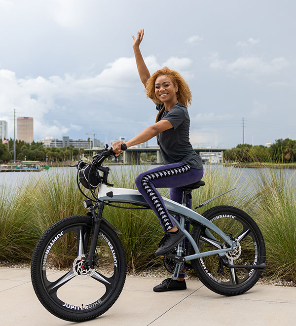 Summit Electric Bike