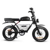 Rogue Cafe Racer Electric Bike - Refurbished product-image