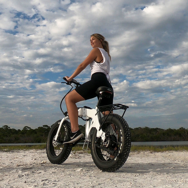 Defiant Fat Tire Folding Electric Bike