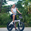 Defiant Fat Tire Folding Electric Bike - Refurbished product-image