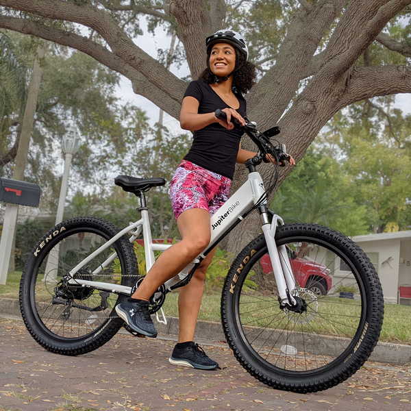 electric bicycle lithium ion L5 Electric Bike 48V/15Ah Removable Samsung Li-ion Battery