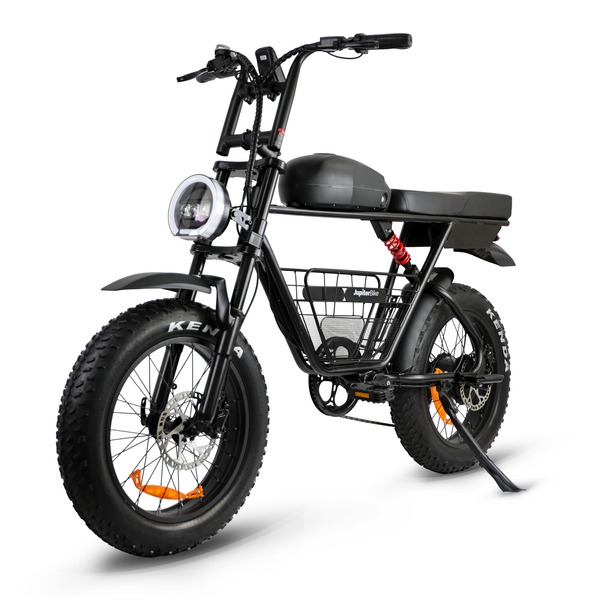 Rogue Electric Bike