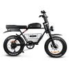 Rogue Cafe Racer Electric Bike product-image